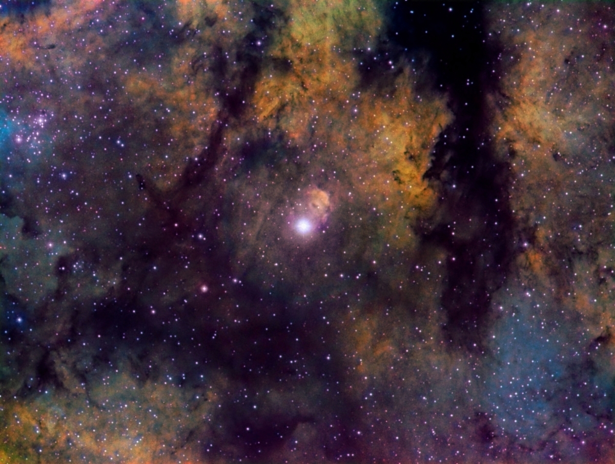 Sadr, the heart of cygnus