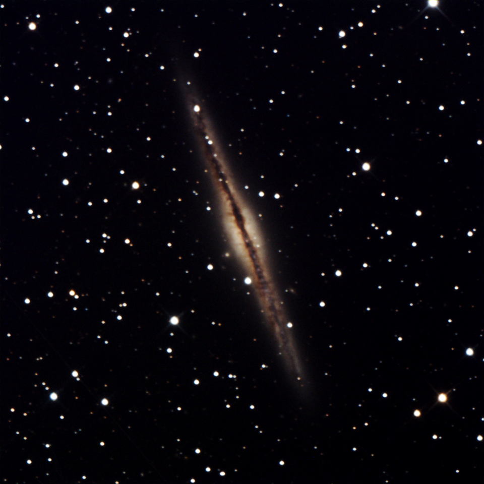 NGC 891