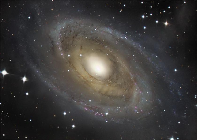 M-81