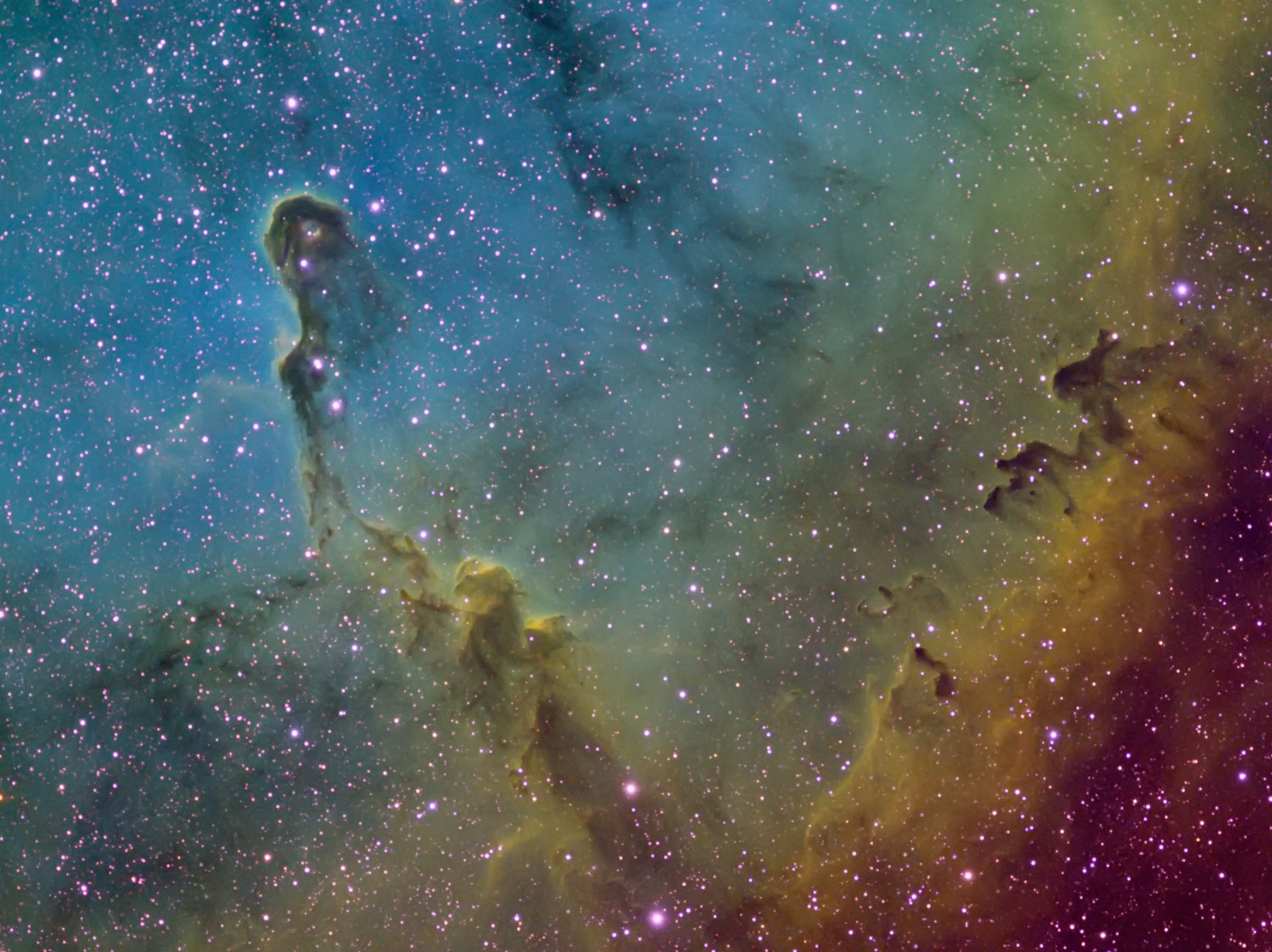  	IC 1396 (Elephants Trunk Nebula)