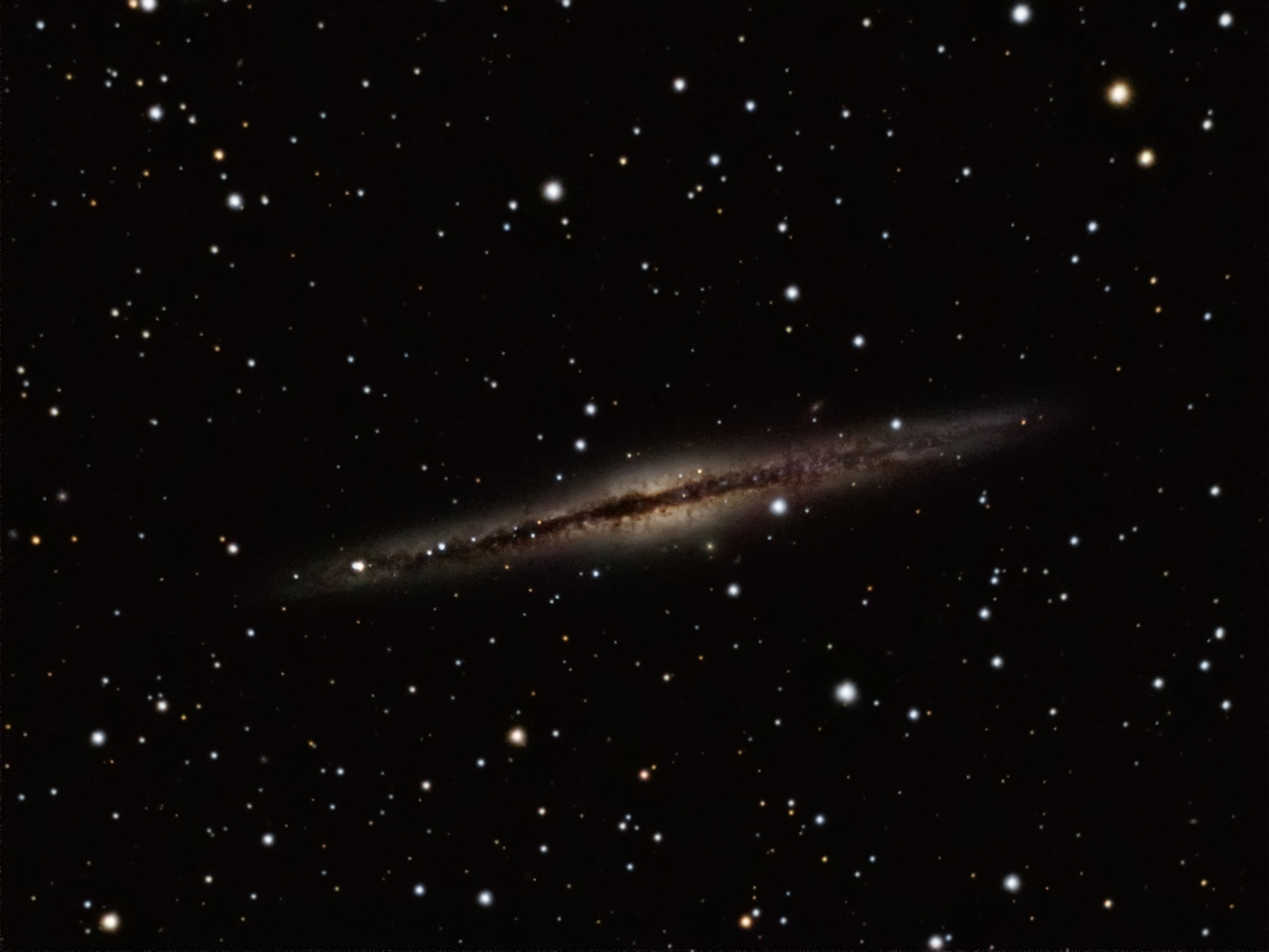 NGC 891