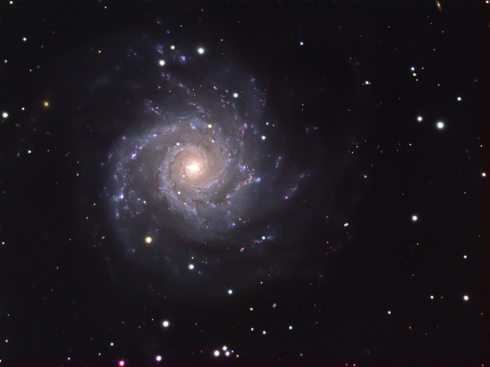M74