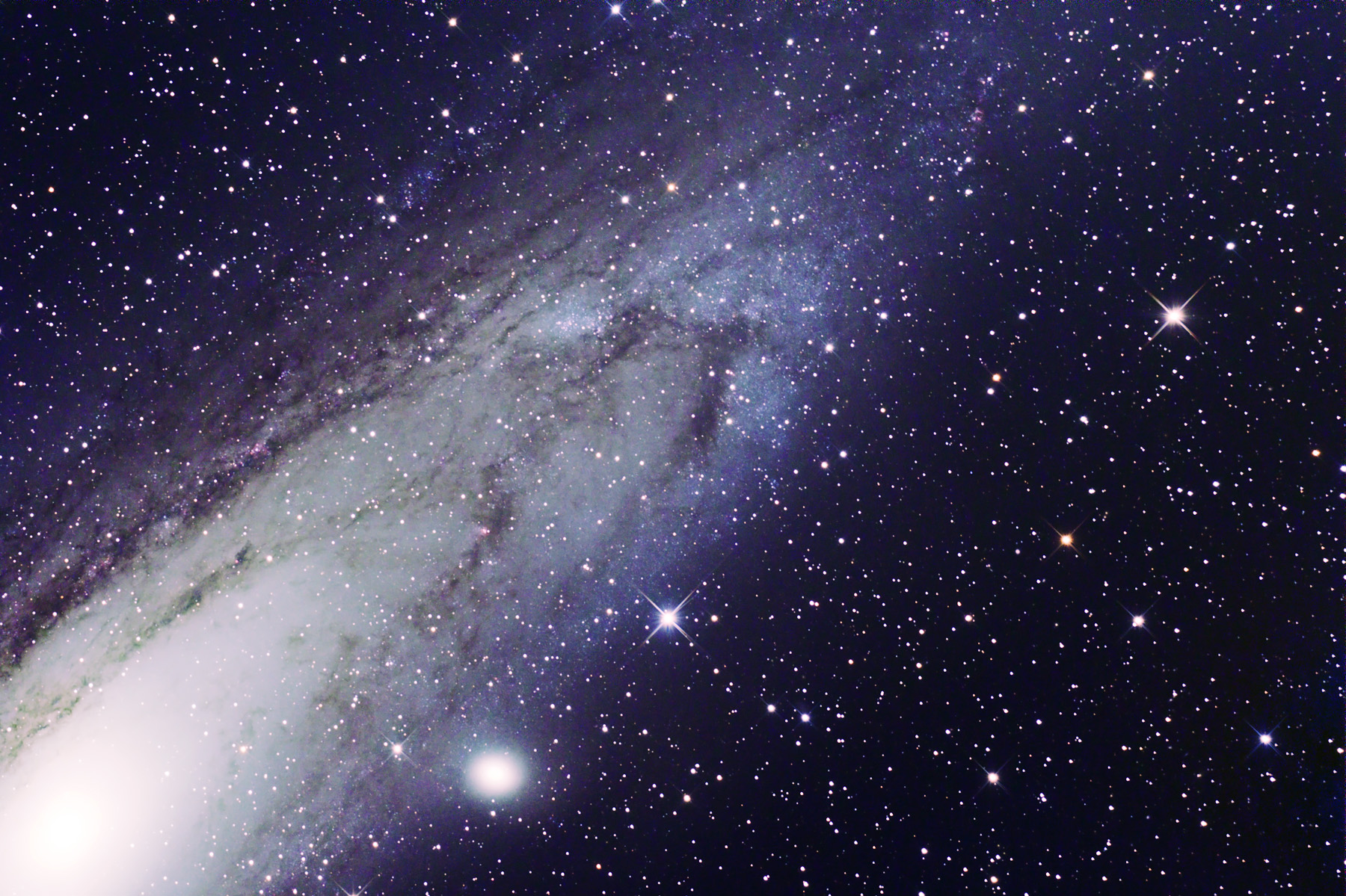 M31