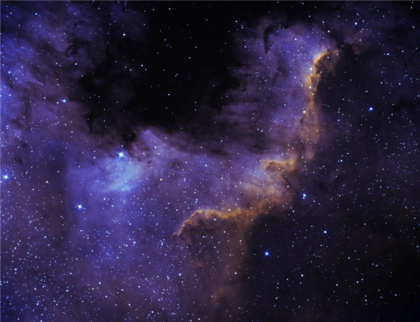 NGC 7000