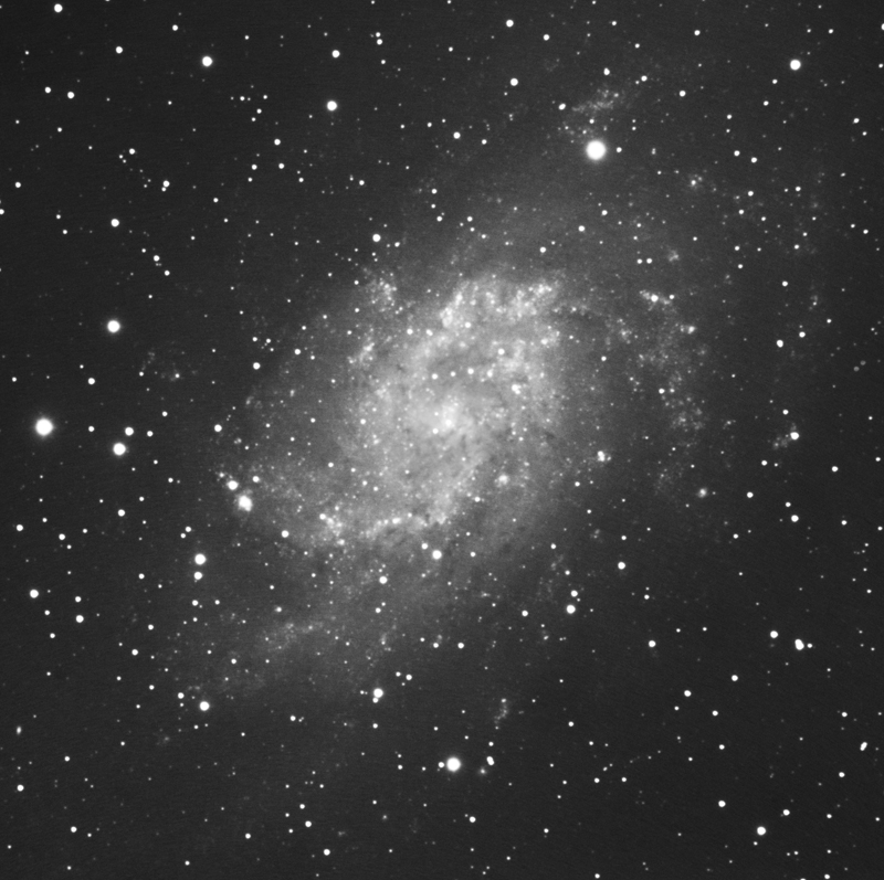 M33