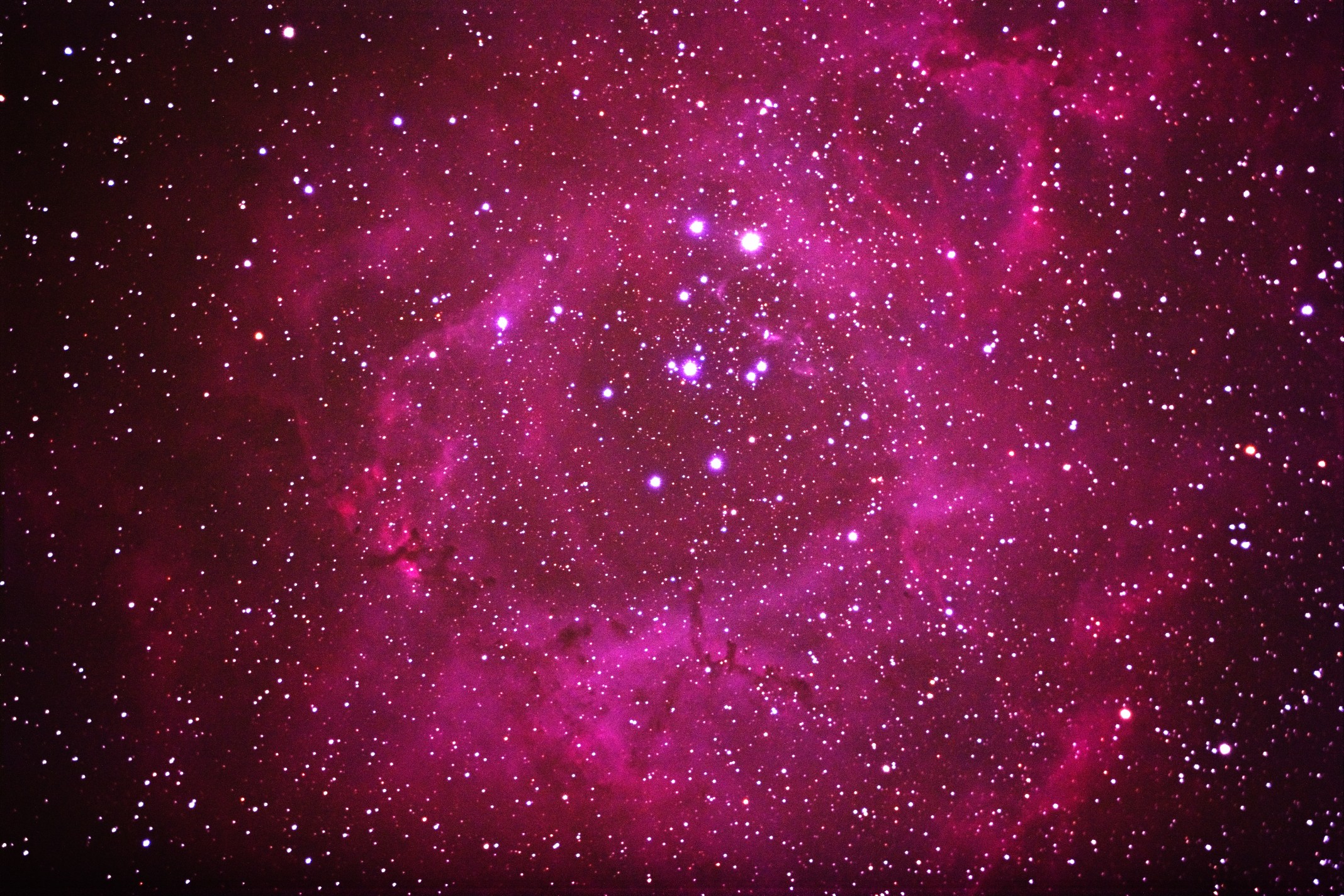 The Rosette