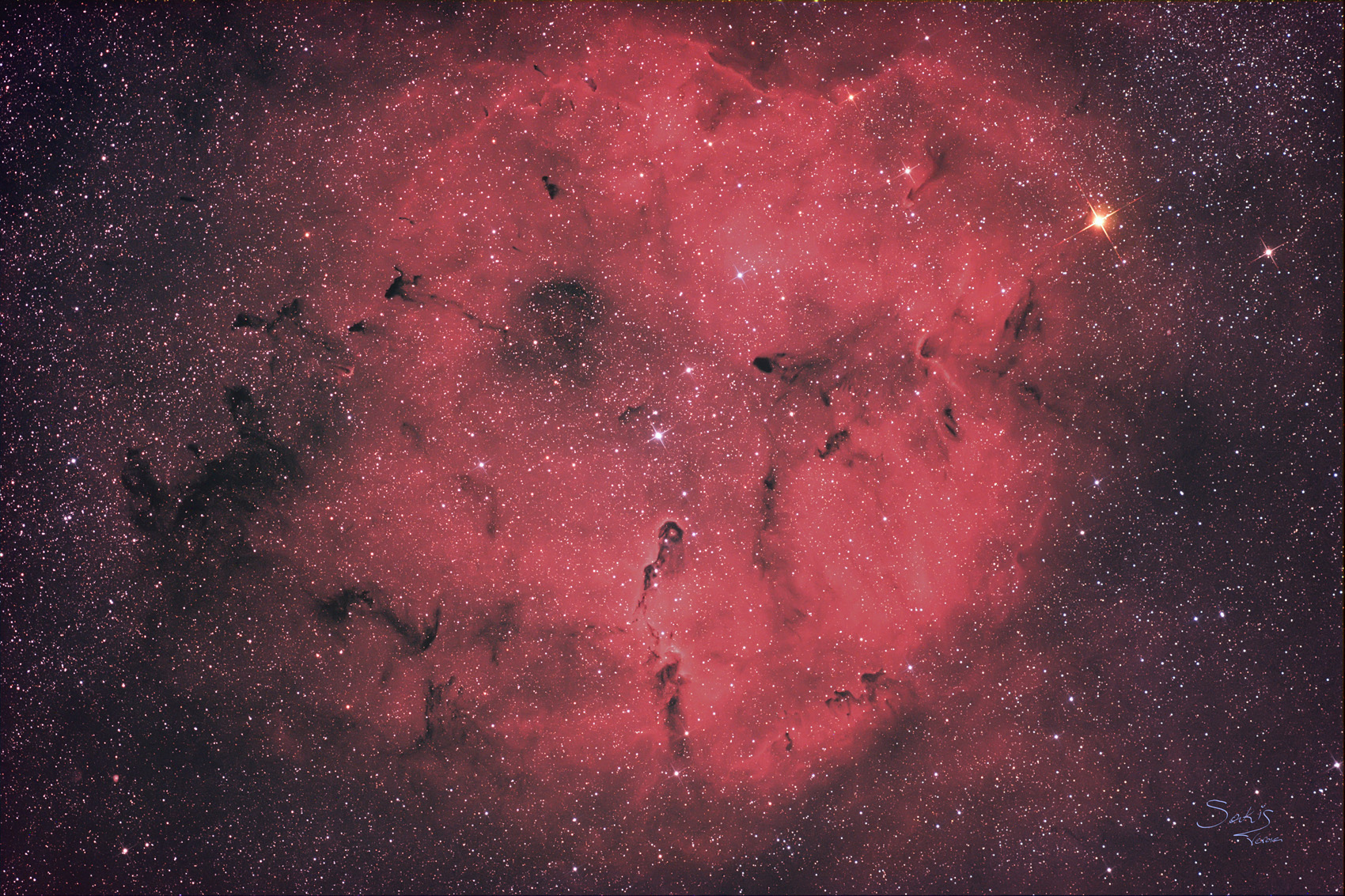 IC1396 and the Elephant Trunk Nebula(vdb142)