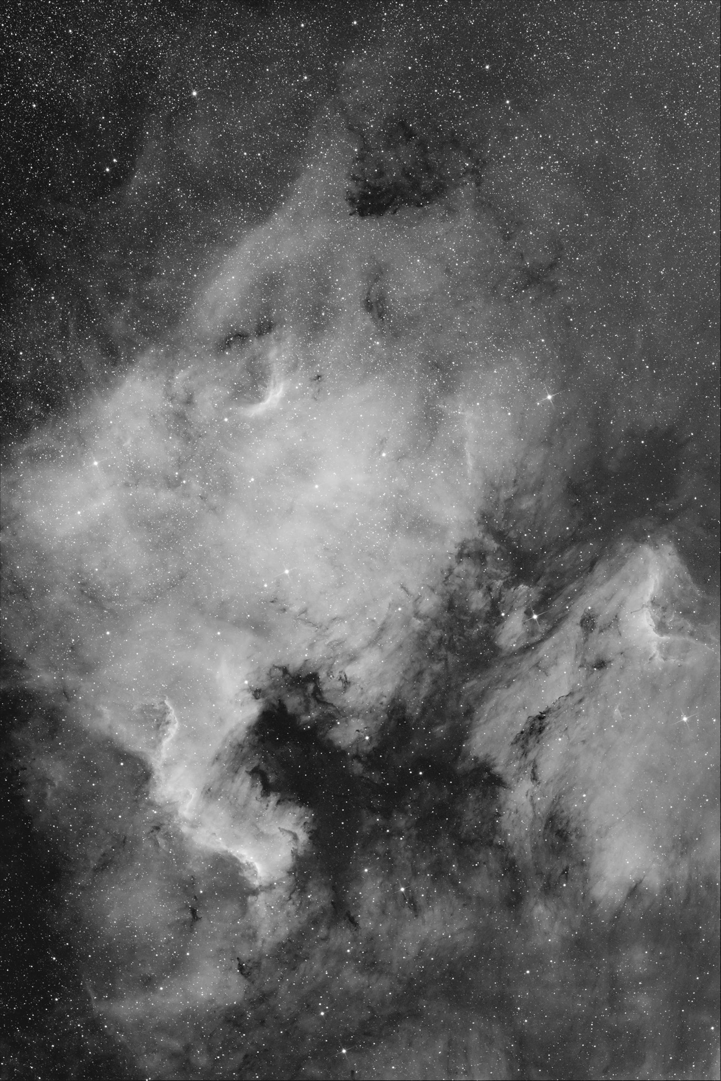 NGC 7000- IC5070 (North AmericaNebula)Cygnus