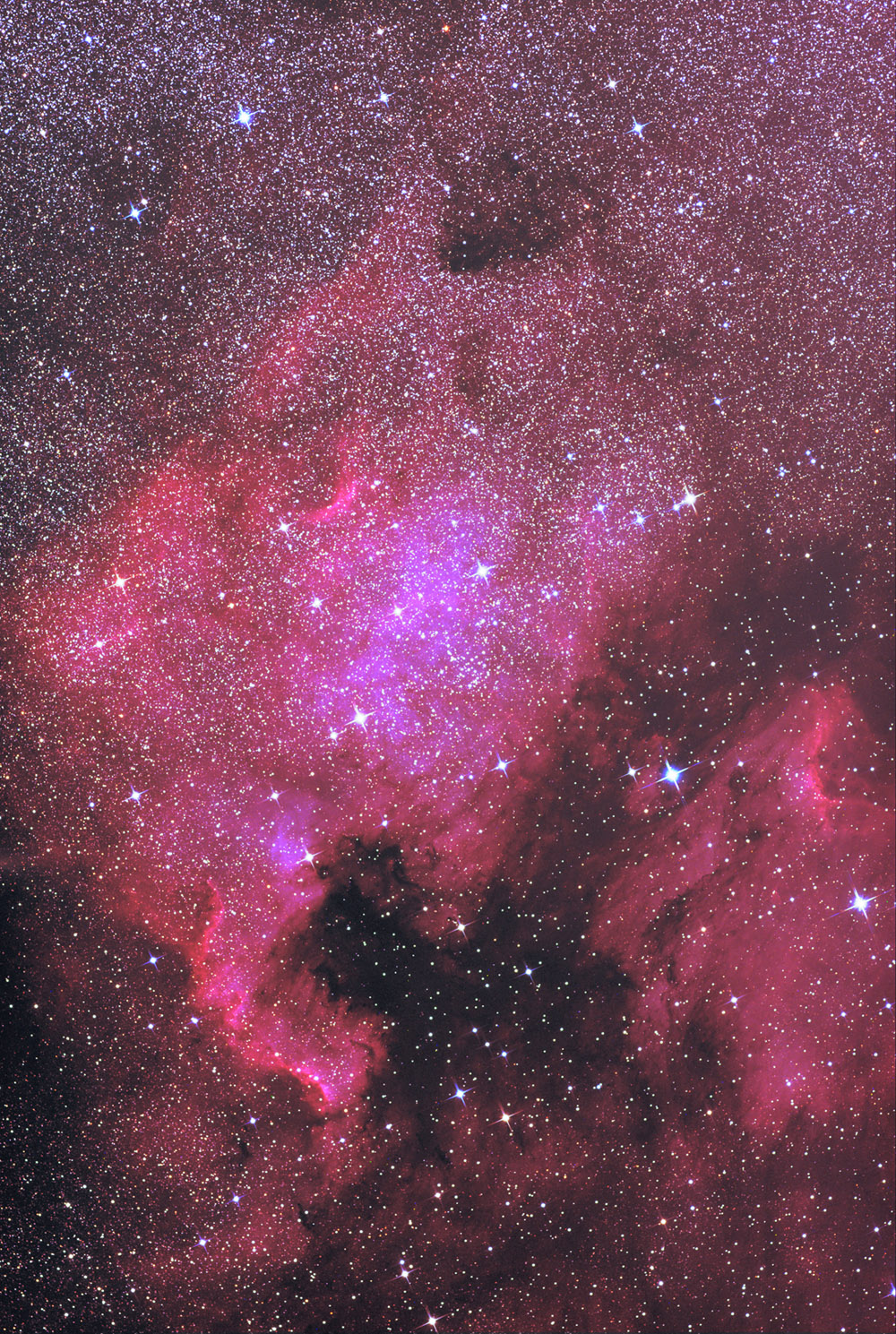 ngc7000 ic5070