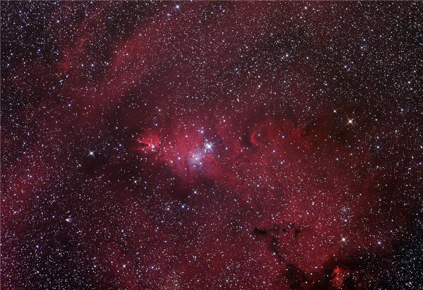 NGC2264 - Christmas Tree Cluster/Cone Nebula/Foxfu