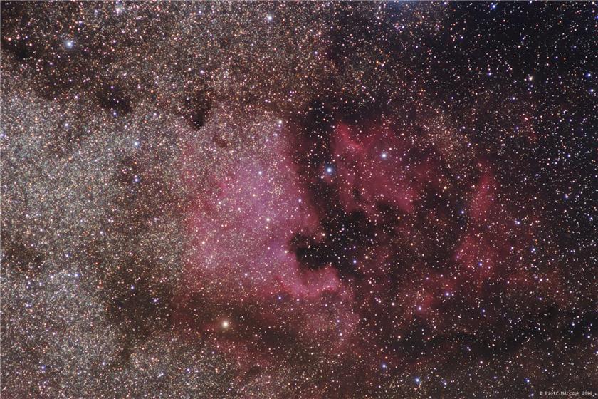 a wider look at Cygnus