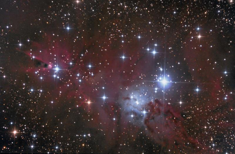 NGC 2264 and Cone Nebula
