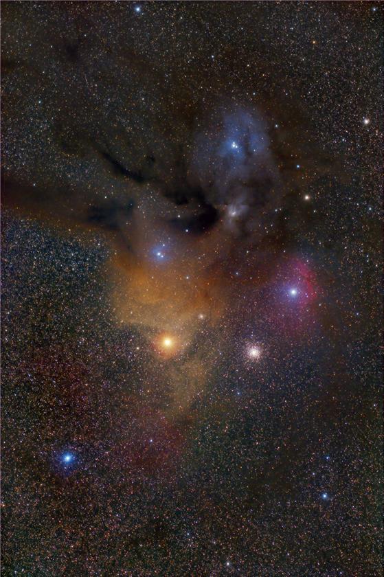 Rho Ophiucus Complex