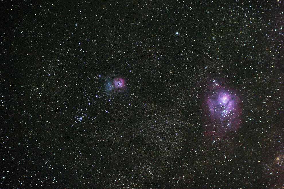 Trifid