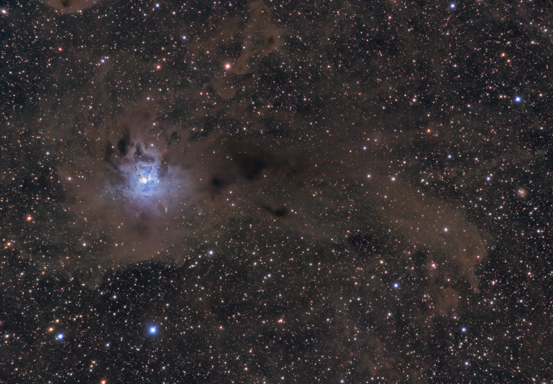 Iris Nebula