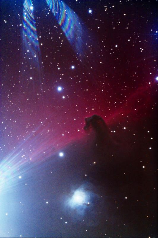Fortuitous Lens Flare Spotlights Horsie