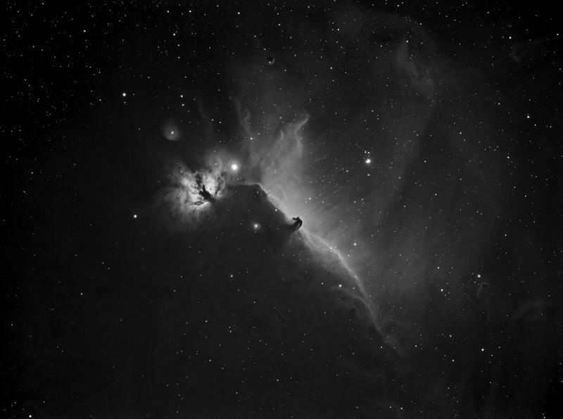 Alnitak area - Horsehead and Flame Nebulae