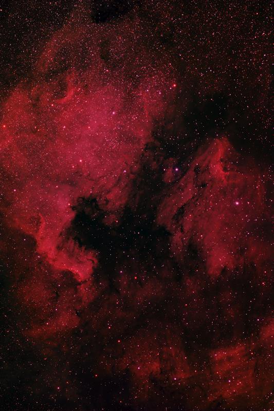 The North American & Pelican Nebulae