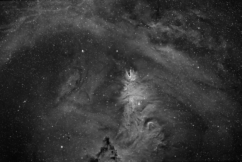 Cone Nebula & Christmas Tree Cluster