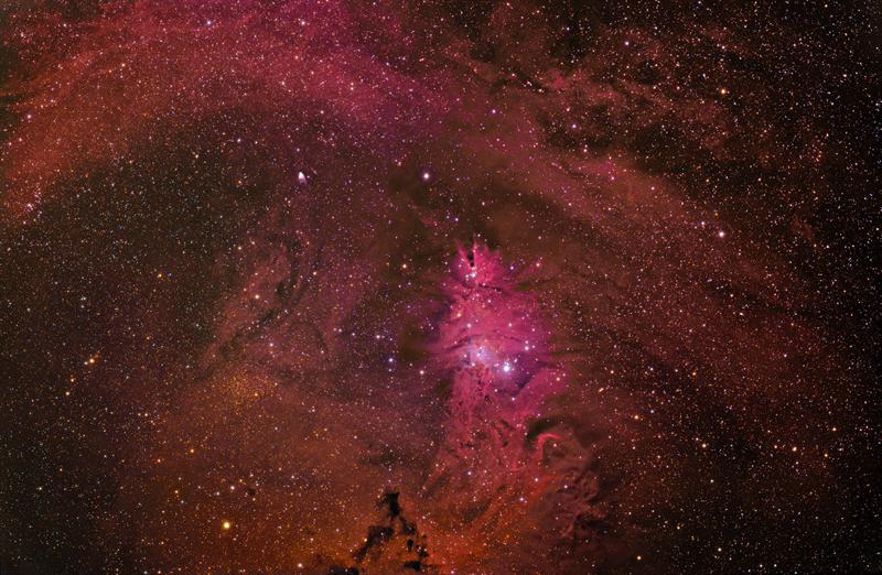 Cone Nebula & Christmas Tree Cluster