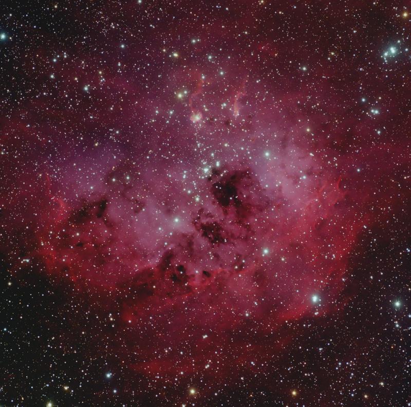 IC 410 -- The Tadpoles