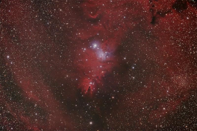 NGC2264 - Christmas Tree Cluster/Cone Nebula