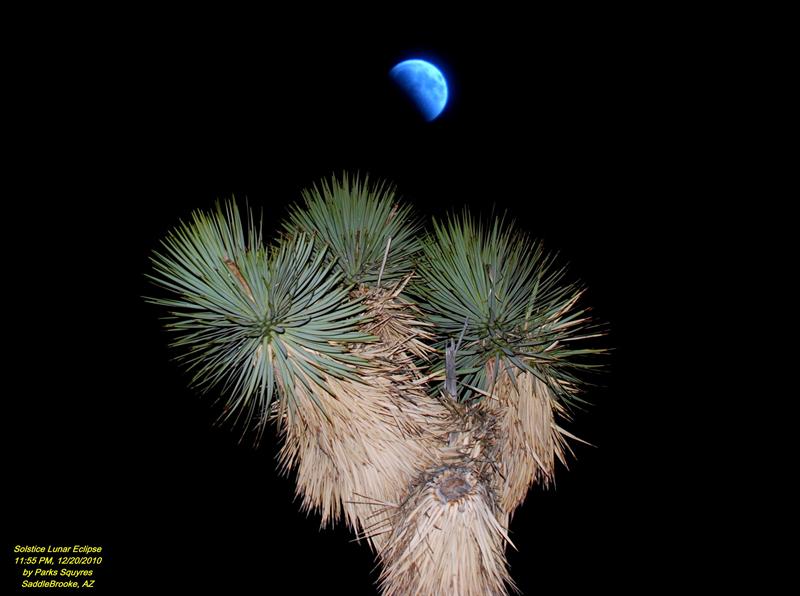 Solstice Lunar Eclipse