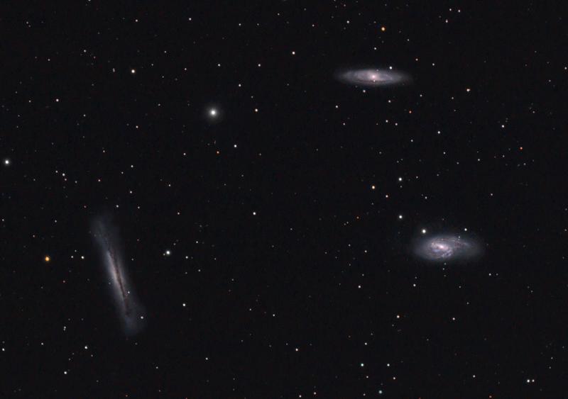 Leo Trio