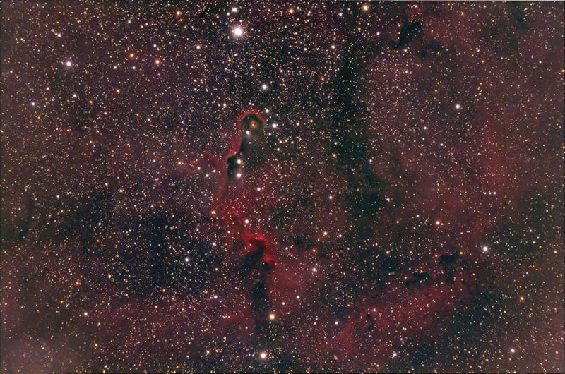 trunk nebula