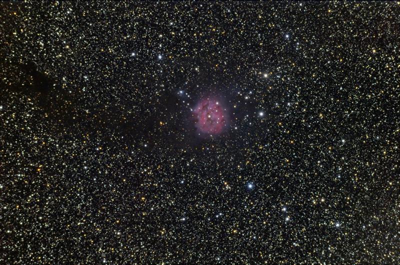 cocoon nebula