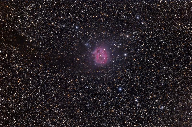 cocoon nebula