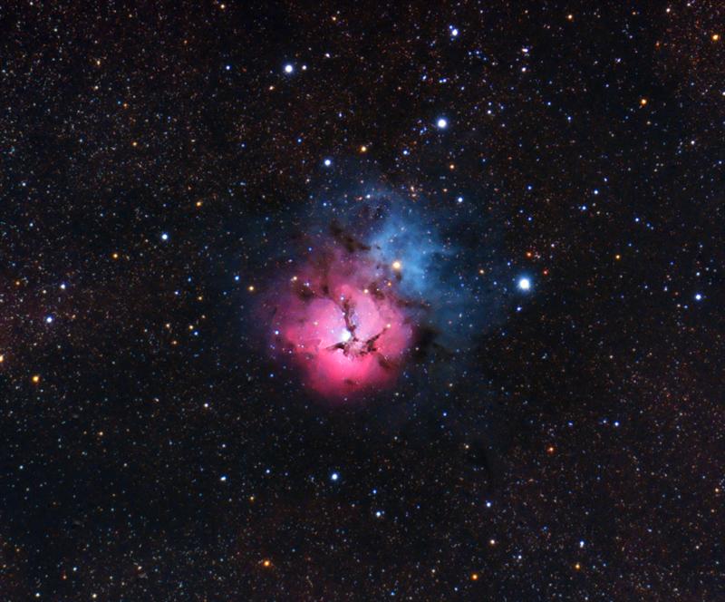 m20-trifida