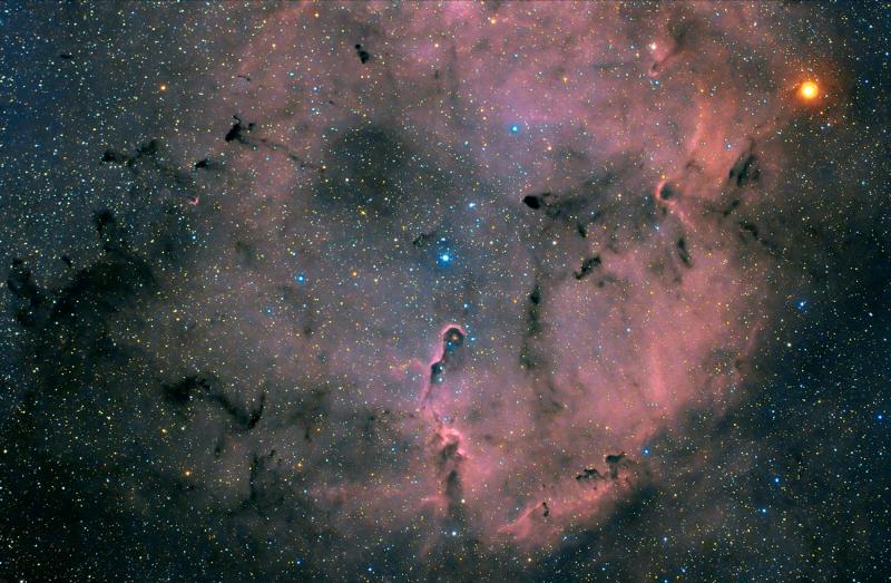 Elephant Trunk Nebula 