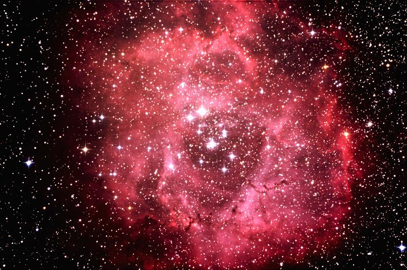 The Rosette Nebula
