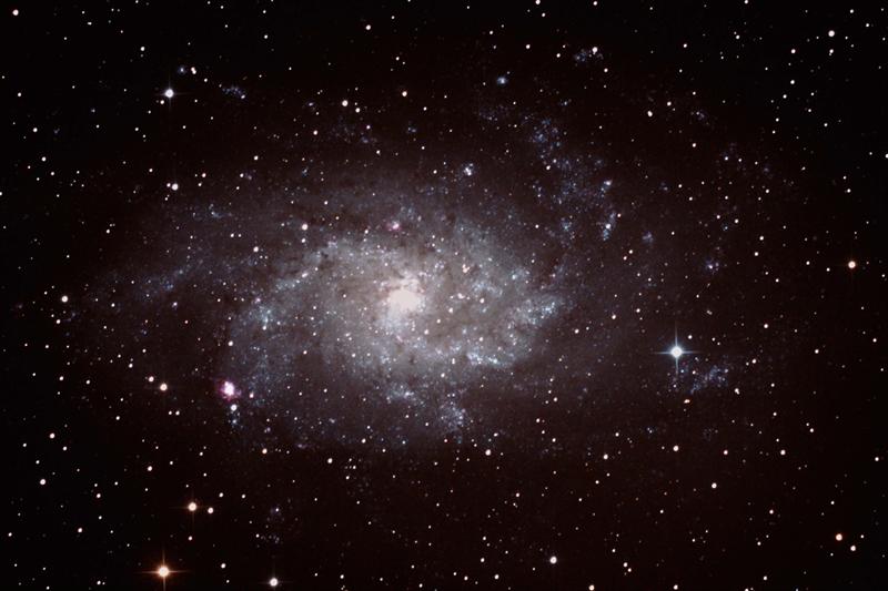 M33