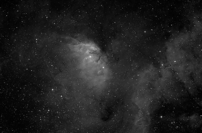 The Tulip Nebula