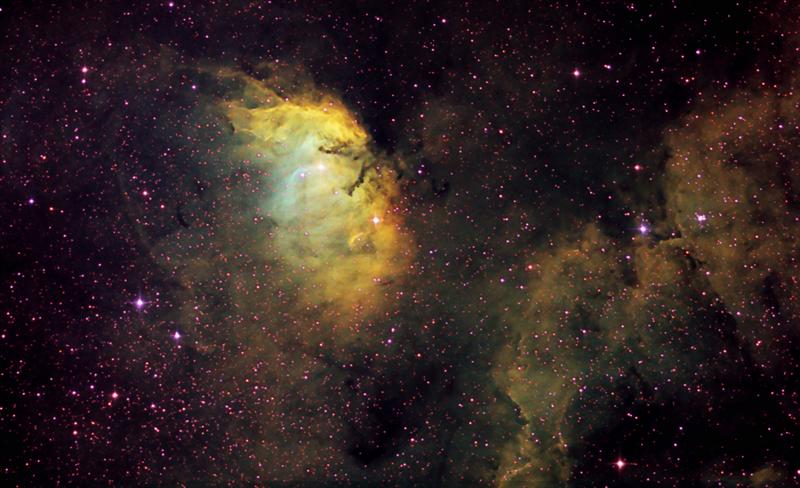 The Tulip Nebula in Hubble Palette