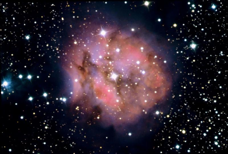 Cocoon Nebula
