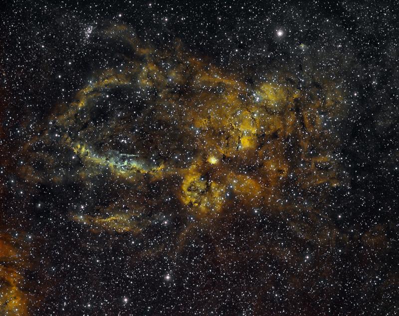 SH2 157 in SHO