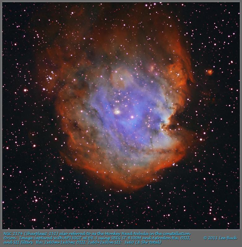 NGC 2174 Monkey Head Nebula