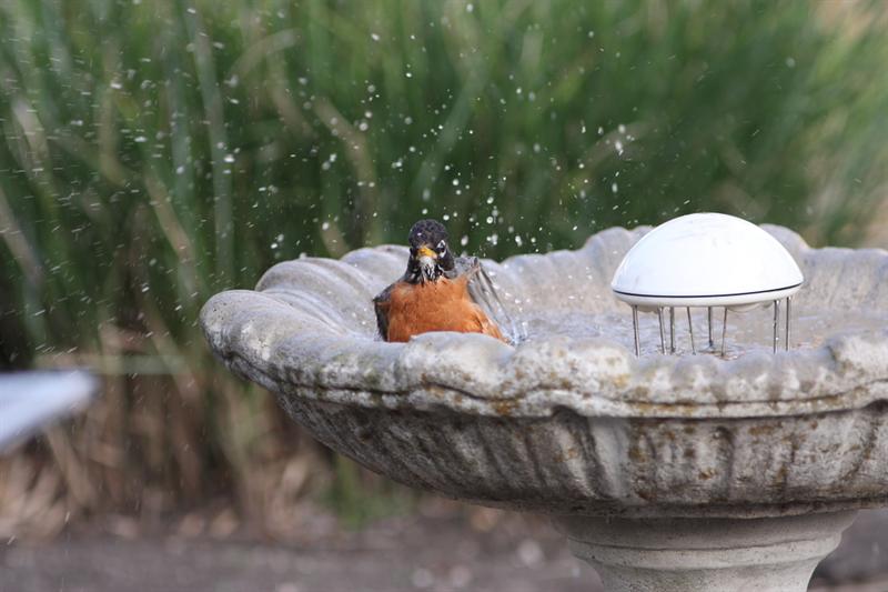 Splish Splash!