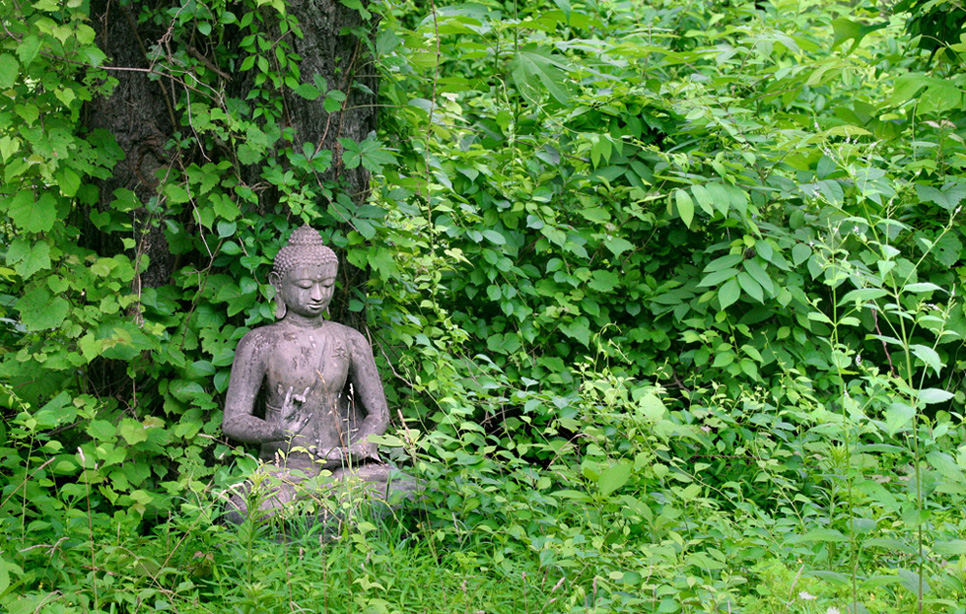 In the shade of the afternoon sun