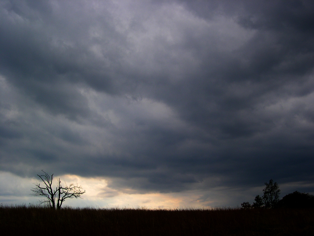 The Gathering Storm
