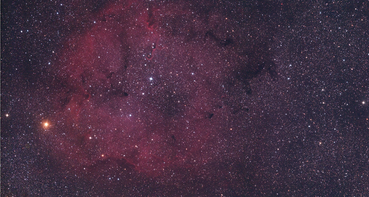 Cepheus IC1396