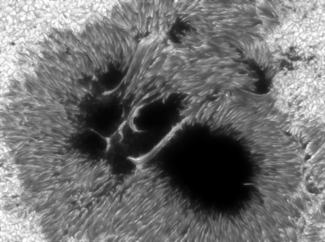 Giant sunspot group AR2192