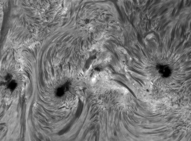 Giant AR 2321