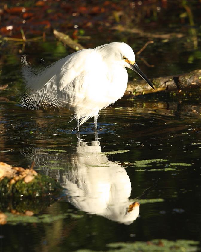 Seen any fish?