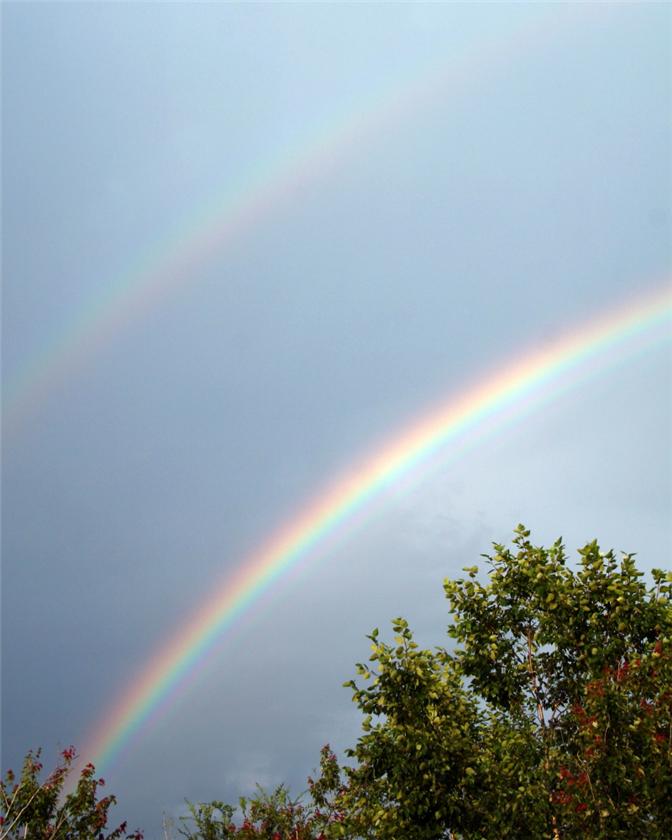 Double Bow