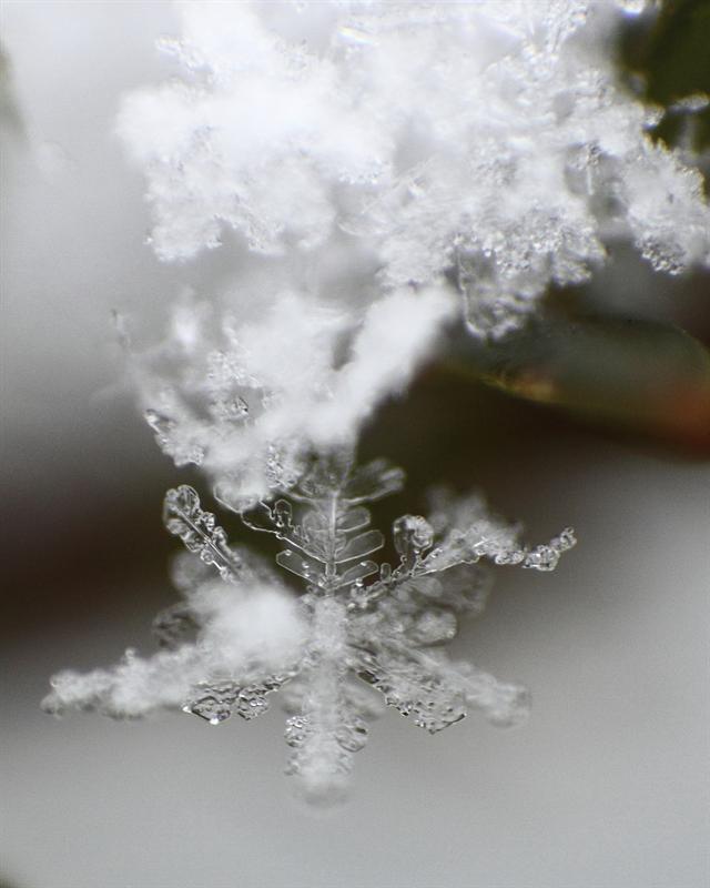 End of the year snowflake image