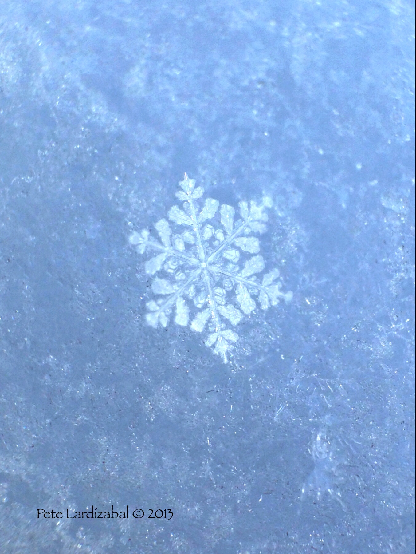 "The Snowflake"